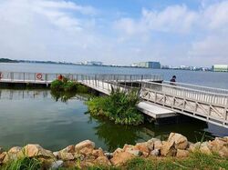 Blk 401 Pandan Gardens (Jurong East), HDB 5 Rooms #631481481